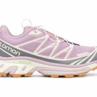 Salomon XT6