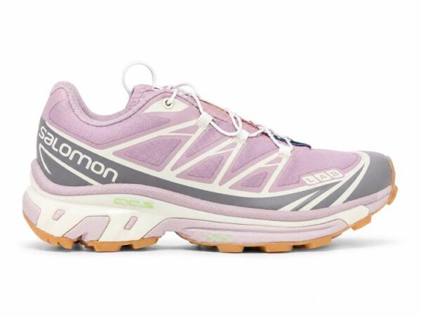 Salomon XT6